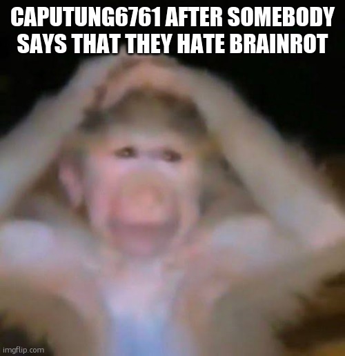 Chud gaye guru | CAPUTUNG6761 AFTER SOMEBODY SAYS THAT THEY HATE BRAINROT | image tagged in chud gaye guru | made w/ Imgflip meme maker
