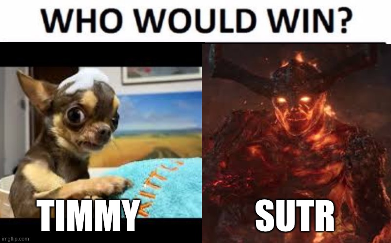 lil Timmy definitely wins | SUTR; TIMMY | image tagged in memes,who would win | made w/ Imgflip meme maker