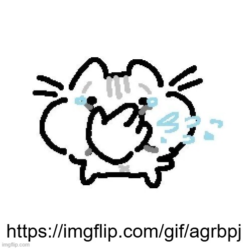 basiileaf cat laughing | https://imgflip.com/gif/agrbpj | image tagged in basiileaf cat laughing | made w/ Imgflip meme maker