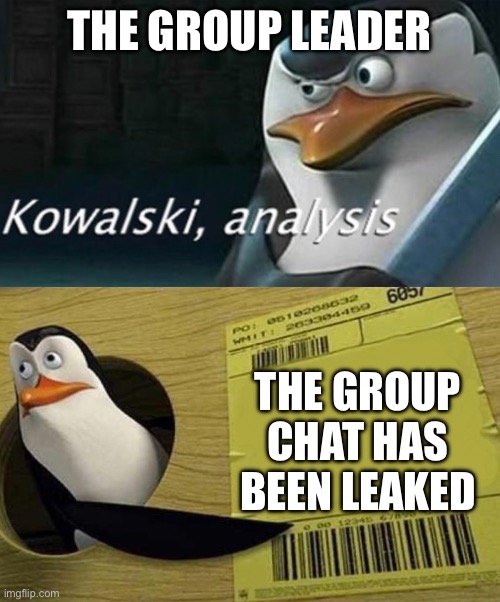 Madagascar | THE GROUP LEADER; THE GROUP CHAT HAS BEEN LEAKED | image tagged in kowalski analysis | made w/ Imgflip meme maker