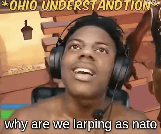 ohio understandtion | why are we larping as nato | image tagged in ohio understandtion | made w/ Imgflip meme maker