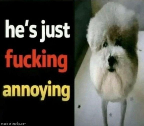 he's just fucking annoying | image tagged in he's just fucking annoying | made w/ Imgflip meme maker