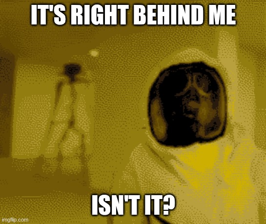 backrooms | IT'S RIGHT BEHIND ME; ISN'T IT? | image tagged in the backrooms,backrooms | made w/ Imgflip meme maker