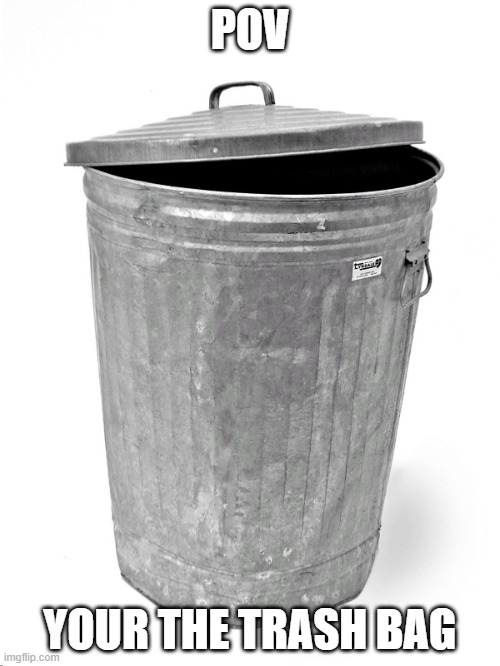 Trash Can | POV; YOUR THE TRASH BAG | image tagged in trash can | made w/ Imgflip meme maker
