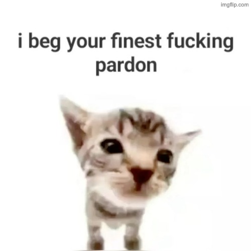 I beg your finest pardon | image tagged in i beg your finest pardon | made w/ Imgflip meme maker