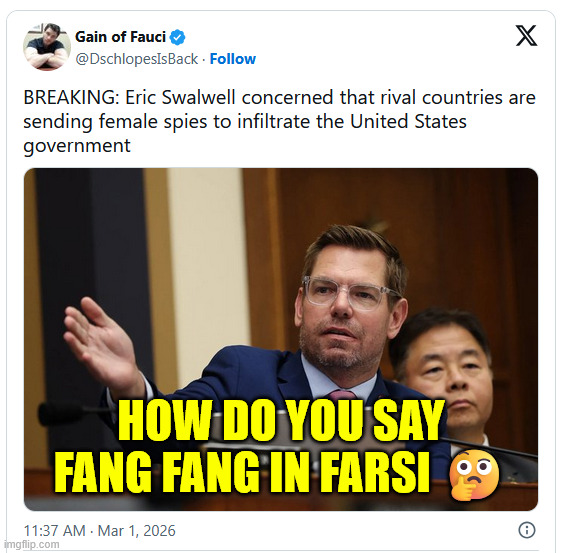 Oh the irony | HOW DO YOU SAY FANG FANG IN FARSI 🤔 | image tagged in swallows well,traitor,fang fang | made w/ Imgflip meme maker