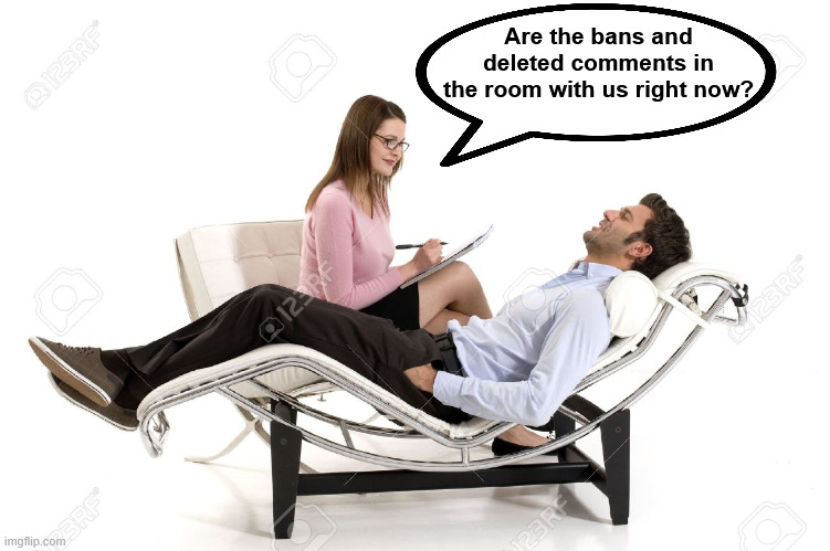 Are the bans and deleted comments in the room with us right now? | image tagged in therapist | made w/ Imgflip meme maker
