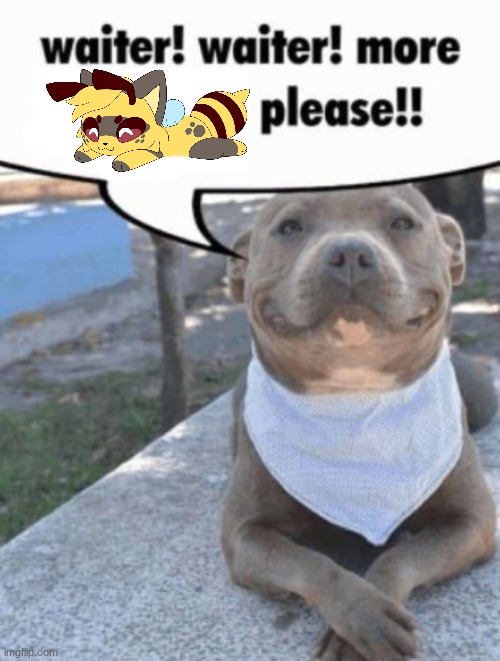 waiter! pit bull | image tagged in waiter pit bull | made w/ Imgflip meme maker