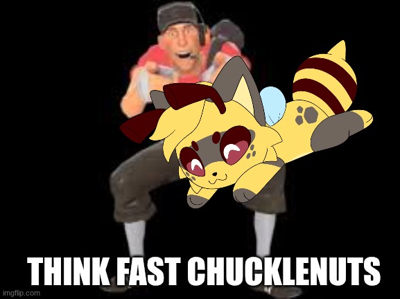 THINK FAST CHUCKLENUTS | THINK FAST CHUCKLENUTS | image tagged in think fast chucklenuts | made w/ Imgflip meme maker