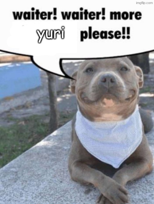 waiter! pit bull | yuri | image tagged in waiter pit bull | made w/ Imgflip meme maker