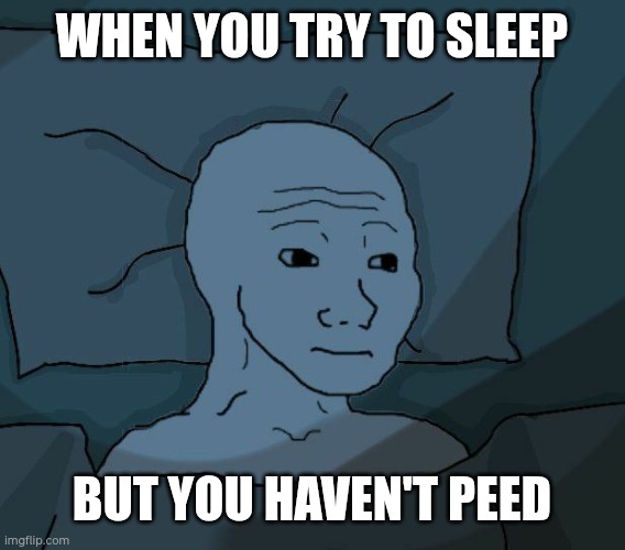 WHEN YOU TRY TO SLEEP; BUT YOU HAVEN'T PEED | made w/ Imgflip meme maker