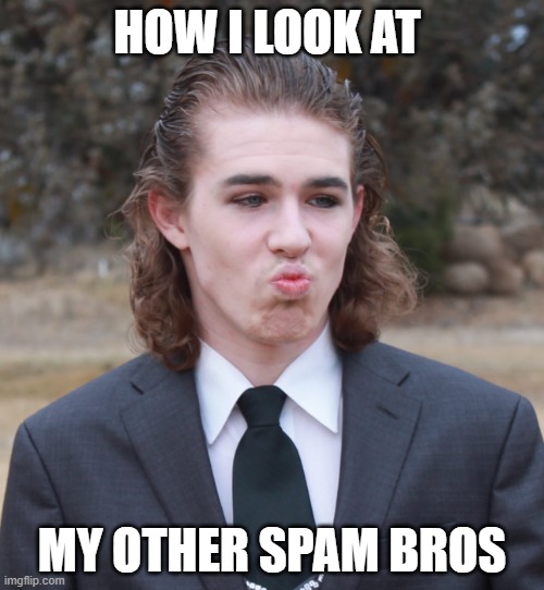 How I look at my other spam bros | HOW I LOOK AT; MY OTHER SPAM BROS | image tagged in liam keel mogging,liam keel,brony,chad,handsome,funny | made w/ Imgflip meme maker