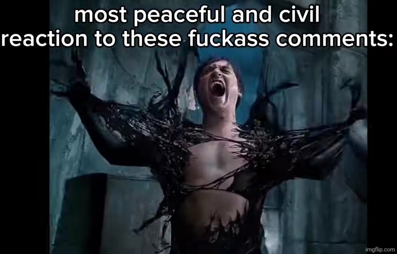 Most peaceful and civil reaction | image tagged in most peaceful and civil reaction | made w/ Imgflip meme maker