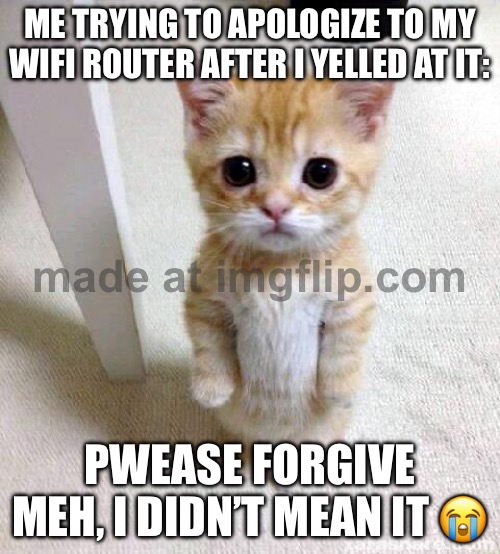 ME TRYING TO APOLOGIZE TO MY WIFI ROUTER AFTER I YELLED AT IT:; PWEASE FORGIVE MEH, I DIDN’T MEAN IT | ME TRYING TO APOLOGIZE TO MY WIFI ROUTER AFTER I YELLED AT IT:; PWEASE FORGIVE MEH, I DIDN’T MEAN IT 😭 | image tagged in memes,cute cat,wifi,wifi drops,apology,cat memes | made w/ Imgflip meme maker
