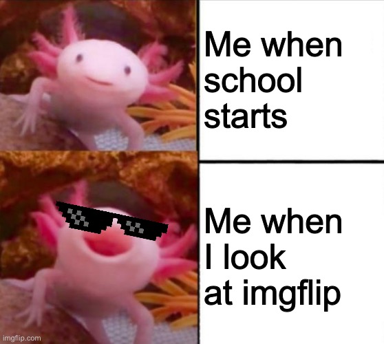 I HATE SCHOOL- | Me when school starts; Me when I look at imgflip | image tagged in axolotl | made w/ Imgflip meme maker
