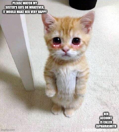 Cute Cat Meme | PLEASE WATCH MY SISTER'S GIFS OR WHATEVER, IT WOULD MAKE HER VERY HAPPY; HER ACCOUNT IS CALLED ZAPHAIRASMITH | image tagged in memes,cute cat | made w/ Imgflip meme maker