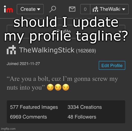 i think it’s ok | should I update my profile tagline? | image tagged in msmg | made w/ Imgflip meme maker