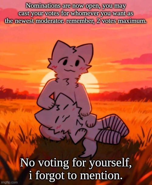 That0neguy announcement temp | Nominations are now open, you may cast your votes for whomever you want as the newest moderator. remember, 2 votes maximum. No voting for yourself, i forgot to mention. | image tagged in that0neguy announcement temp | made w/ Imgflip meme maker