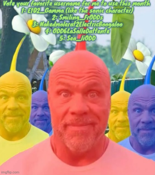 I will not be taking suggestions unless if they're funny enough to me | Vote your favorite username for me to use this month 
1: E102_Gamma (like the sonic character)
2: Smiling_FrODDs
3: Nakedmolerat2ElectricBoogaloo
4: ODD6LaSalleDattente
5: Sea_liODD | image tagged in picked men | made w/ Imgflip meme maker
