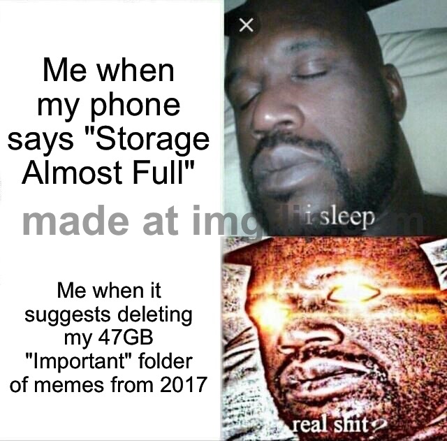 Me when my phone says "Storage Almost Full"; Me when it suggests deleting my 47GB "Important" folder of memes from 2017 | Me when my phone says "Storage Almost Full"; Me when it suggests deleting my 47GB "Important" folder of memes from 2017 | image tagged in memes,sleeping shaq,storage,phone,so true memes,delete | made w/ Imgflip meme maker