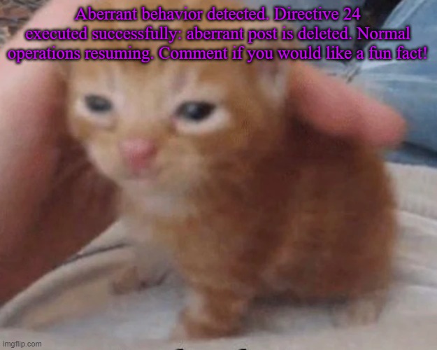 Herbert | Aberrant behavior detected. Directive 24 executed successfully: aberrant post is deleted. Normal operations resuming. Comment if you would like a fun fact! | image tagged in herbert | made w/ Imgflip meme maker