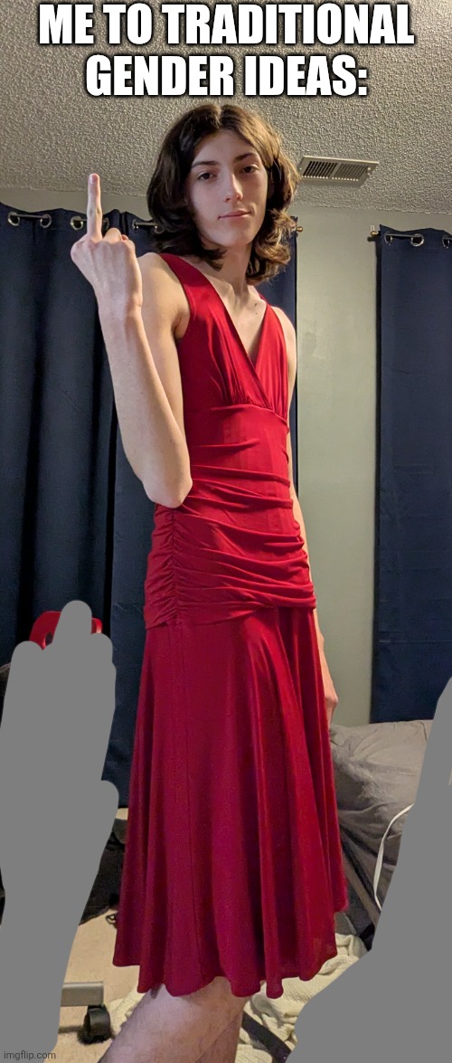 ME TO TRADITIONAL GENDER IDEAS: | made w/ Imgflip meme maker