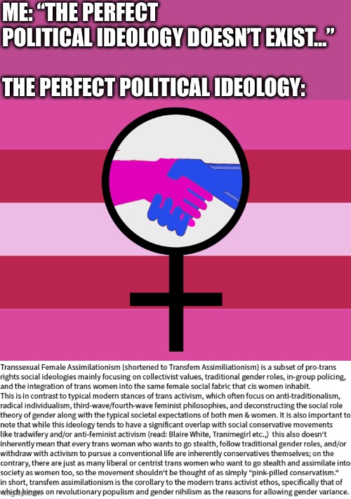 Proud to state that many of the trans women I know in real life are thankfully like this instead of the 37 gender army | ME: “THE PERFECT POLITICAL IDEOLOGY DOESN’T EXIST…”
 
THE PERFECT POLITICAL IDEOLOGY: | image tagged in lgbt,politics,controversial,transgender,transsexual,women | made w/ Imgflip meme maker