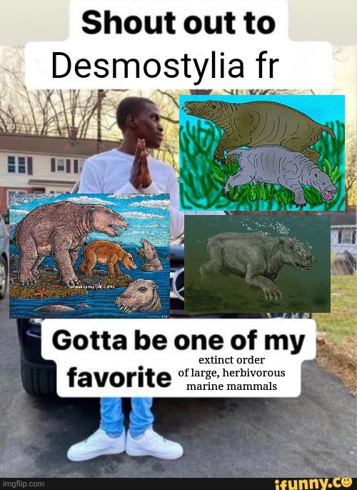 Heckin Chonkers | Desmostylia fr; extinct order of large, herbivorous marine mammals | image tagged in gotta be one of my favorite genders,memes,history memes,funny,lol,humor | made w/ Imgflip meme maker