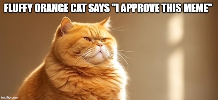 FLUFFY ORANGE CAT SAYS "I APPROVE THIS MEME" | made w/ Imgflip meme maker