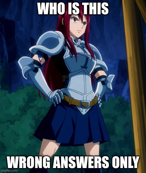 Erza Scarlet | WHO IS THIS; WRONG ANSWERS ONLY | image tagged in erza scarlet | made w/ Imgflip meme maker