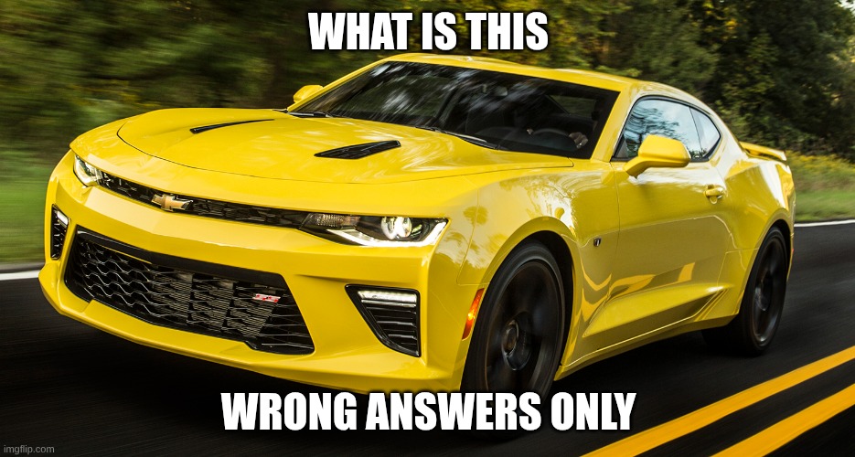 Chevy Camaro | WHAT IS THIS; WRONG ANSWERS ONLY | image tagged in chevy camaro | made w/ Imgflip meme maker
