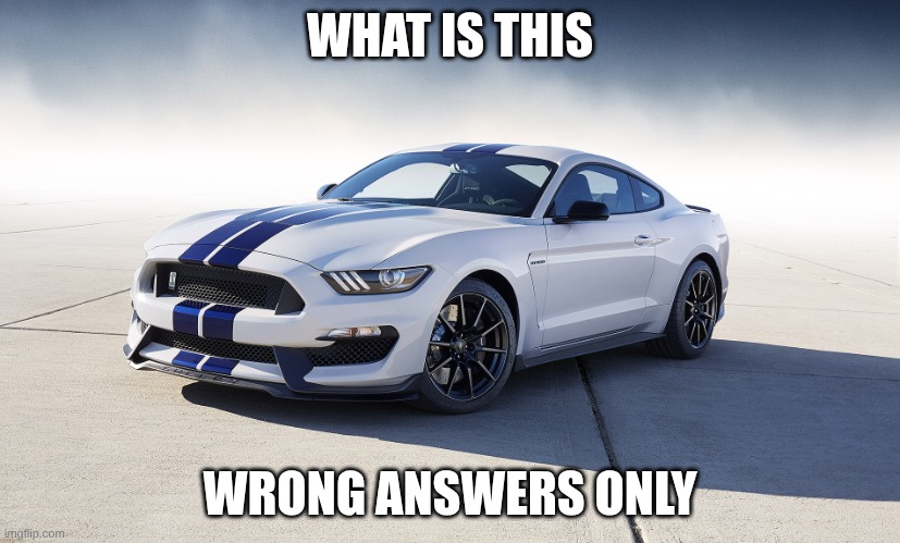 2015 Ford Mustang GT350 | WHAT IS THIS; WRONG ANSWERS ONLY | image tagged in 2015 ford mustang gt350 | made w/ Imgflip meme maker