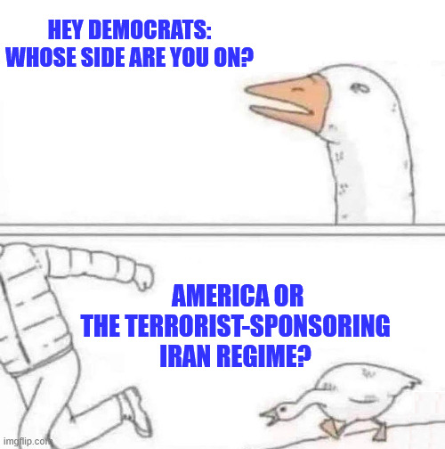 dems showing their true colors | HEY DEMOCRATS: WHOSE SIDE ARE YOU ON? AMERICA OR THE TERRORIST-SPONSORING IRAN REGIME? | image tagged in goose chase,dems hate america | made w/ Imgflip meme maker