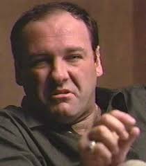 Disgusted Soprano Blank Meme Template