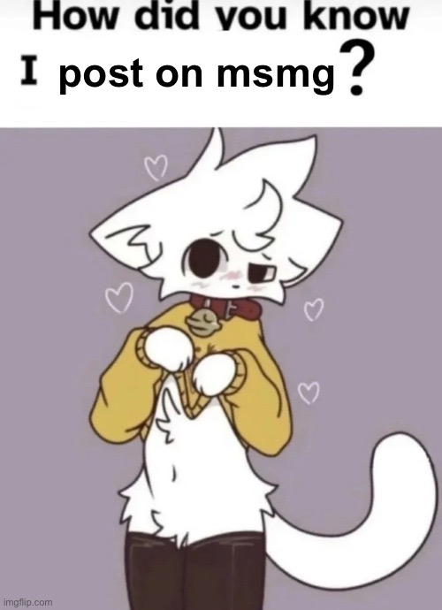 How did you know I play X? | post on msmg | image tagged in how did you know i play x,msmg,femboy,boykisser,truth | made w/ Imgflip meme maker