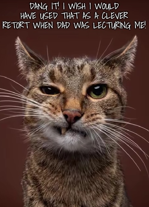 Cat | DANG IT! I WISH I WOULD HAVE USED THAT AS A CLEVER RETORT WHEN DAD WAS LECTURING ME! | image tagged in cat | made w/ Imgflip meme maker