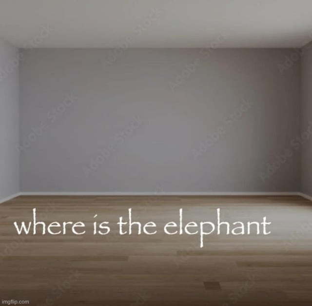 where is the elephant | image tagged in where is the elephant | made w/ Imgflip meme maker