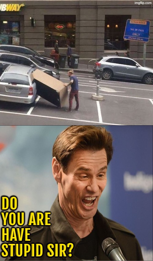 Do You Are Have Stupid? | DO YOU ARE HAVE STUPID SIR? | image tagged in do you are have stupid,duhhh dumbass,human stupidity,idiocy,hilarious memes,epic fail | made w/ Imgflip meme maker