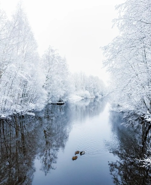 It's been a cold winter! | image tagged in spring is almost here | made w/ Imgflip meme maker