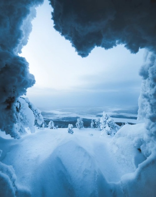 Spring is almost here | image tagged in its been a cold winter | made w/ Imgflip meme maker