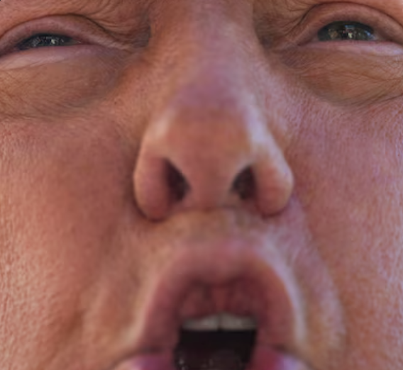 Ugly trump Blank Meme Template