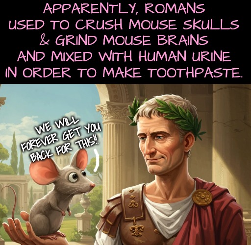 The Romans started the Rodent Wars | APPARENTLY, ROMANS USED TO CRUSH MOUSE SKULLS & GRIND MOUSE BRAINS AND MIXED WITH HUMAN URINE IN ORDER TO MAKE TOOTHPASTE. WE WILL FOREVER GET YOU BACK FOR THIS!! | image tagged in its not my fault | made w/ Imgflip meme maker