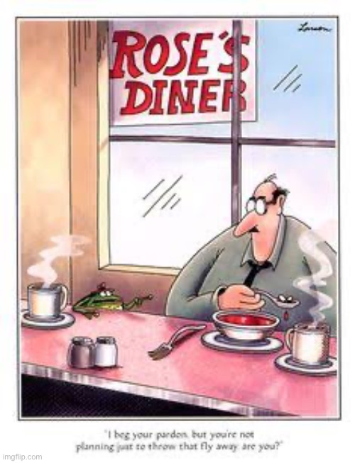 Waste not, want not… | image tagged in the far side,comics,diner,frog,soup,fly | made w/ Imgflip meme maker