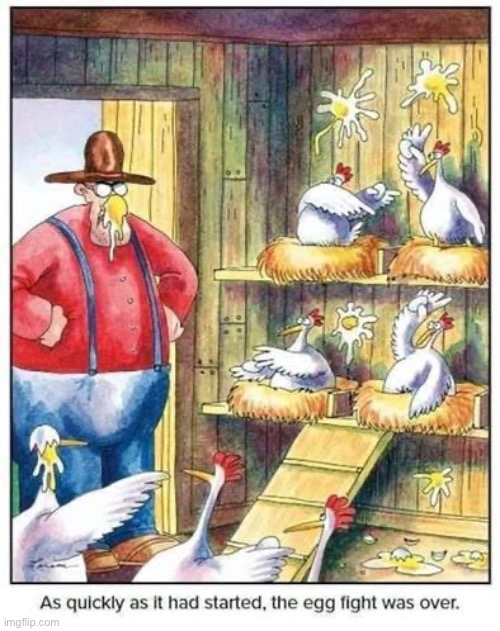 That was un-eggs-pected… | image tagged in the far side,comics,farm,chicken coop,hens,egg fight | made w/ Imgflip meme maker