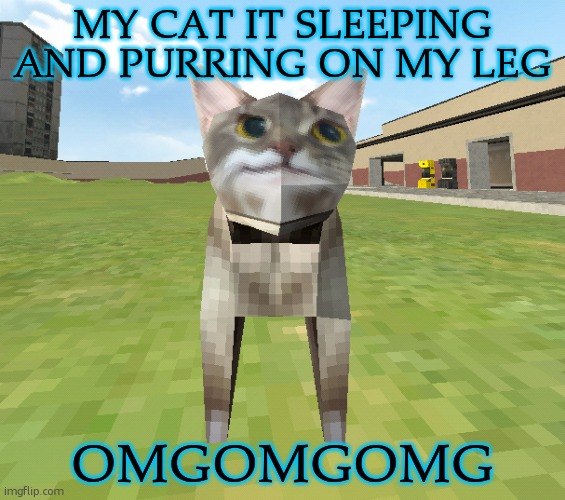 i shall now be imprisonned until they wake | MY CAT IT SLEEPING AND PURRING ON MY LEG; OMGOMGOMG | image tagged in kitr | made w/ Imgflip meme maker