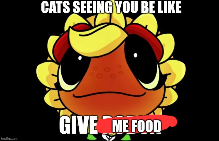 CATS SEEING YOU BE LIKE; ME FOOD | made w/ Imgflip meme maker