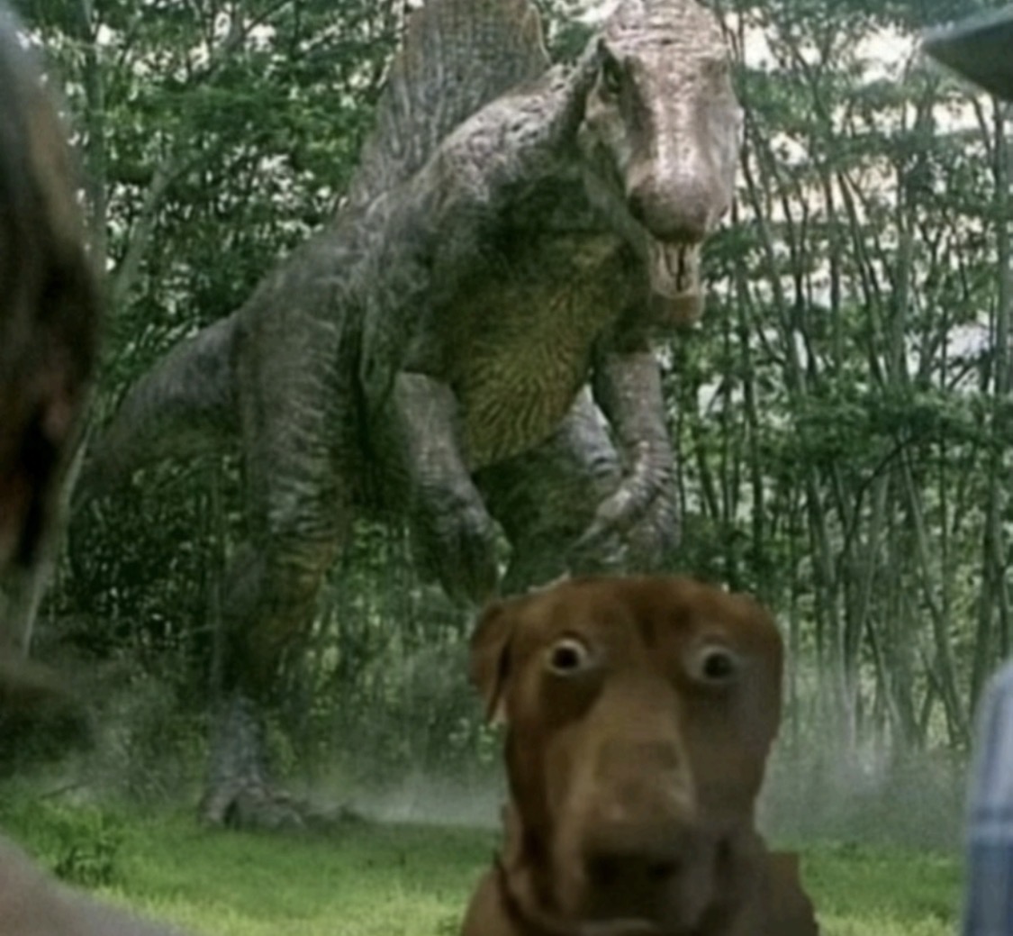 Dog and dino Blank Meme Template