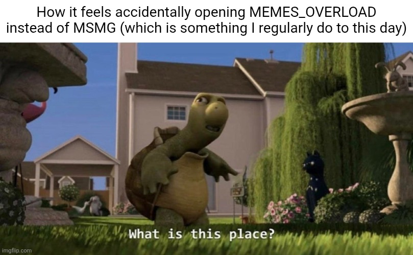 What is this place | How it feels accidentally opening MEMES_OVERLOAD instead of MSMG (which is something I regularly do to this day) | image tagged in what is this place | made w/ Imgflip meme maker