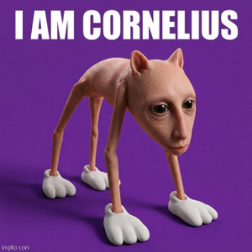 funny | image tagged in funny,dogs,funny memes,help me | made w/ Imgflip meme maker