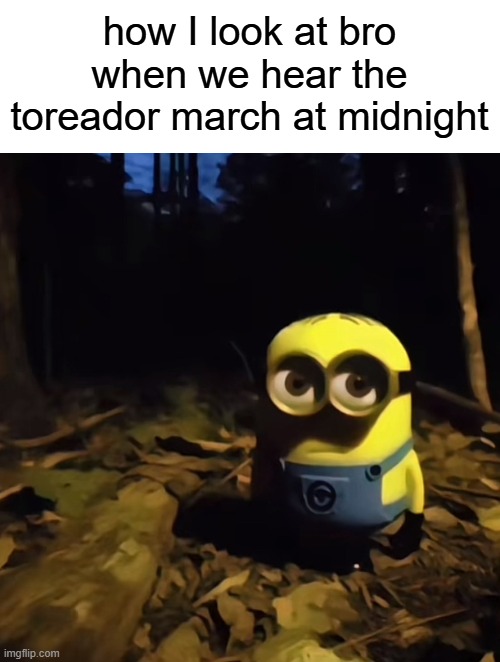 ruh roh | how I look at bro when we hear the toreador march at midnight | image tagged in minion in dark forest,memes,funny memes,funny | made w/ Imgflip meme maker